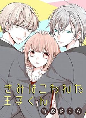 Kimi wa Kowareta Ouji-kun